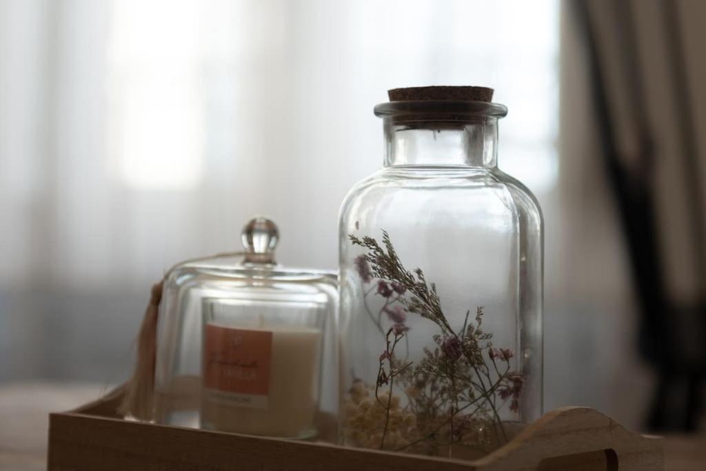 モントーバンMagnolia Magnifique T2 Entierement Renove.アパートメント エクステリア 写真